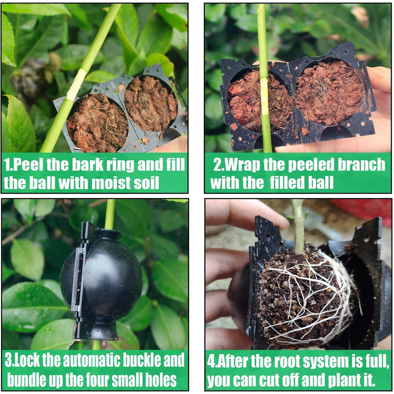 Dispositivo para enraizamiento de plantas y árboles.