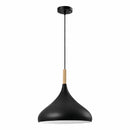 Lámpara Colgante Negra y Madera 1XE27 185x100x1200mm Diseño Moderno y Versátil