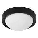 Lámpara de Techo Plafón Color Negro 1xE27 250x100mm