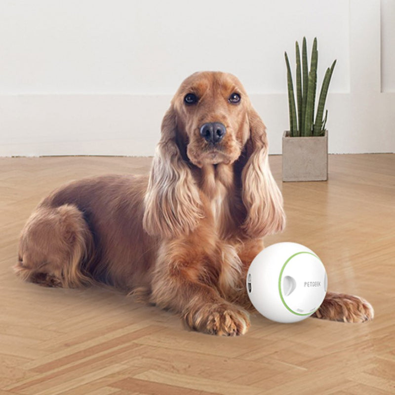 Pelota SMART dispensa comida para mascotas