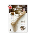 Juguete con madera real masticable para mascotas M