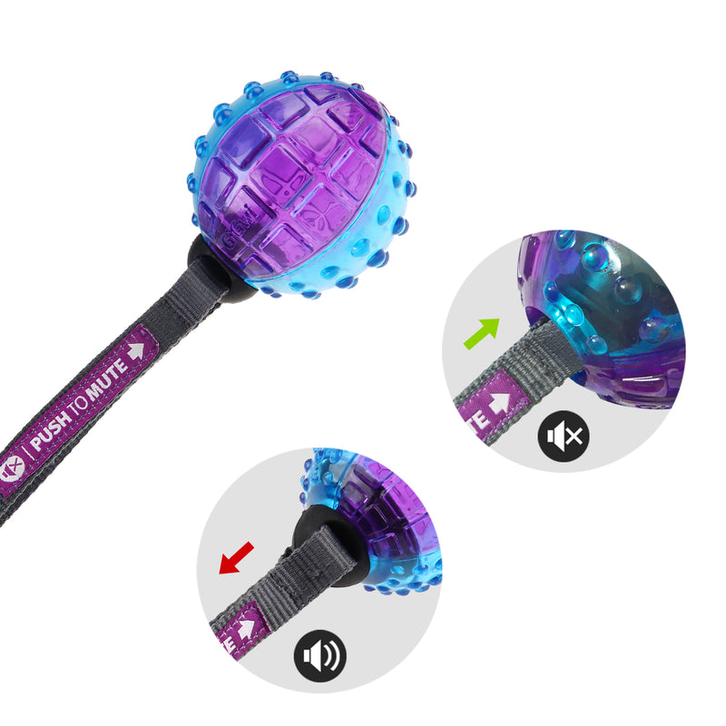 Pelota Push to mute correa y sonido para mascotas