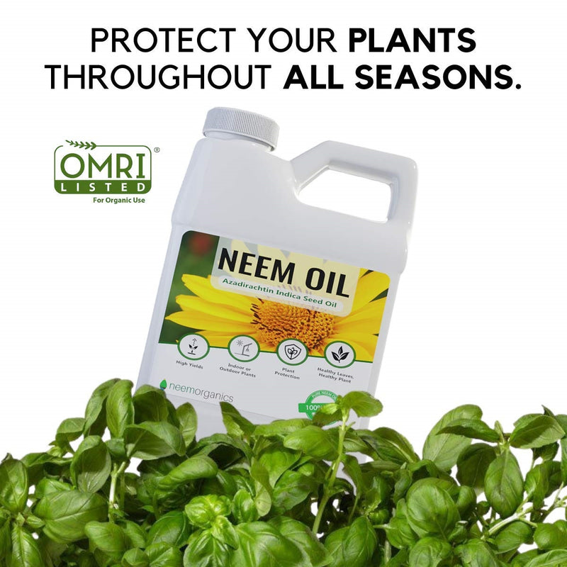 Aceite de Neem Puro 100% Orgánico para plantas, prensando en frio. 16 Oz.