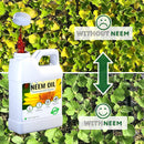 Aceite de Neem Puro 100% Orgánico para plantas, prensando en frio. 16 Oz.
