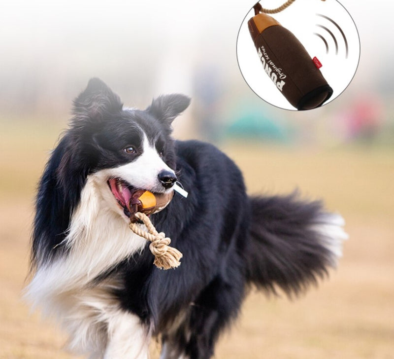 Juguete saco de boxeo Mediano para mascotas