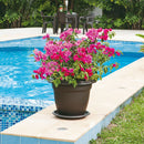 Macetera redonda con plato, de 50 cm, color wengué