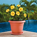 Macetera redonda con plato, de 50 cm, color terracota