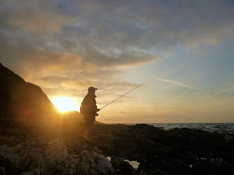 Señuelo Minnow lengua larga 14cm TOR