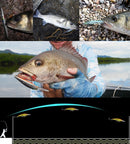 Señuelo Minnow lengua larga 14cm TOR