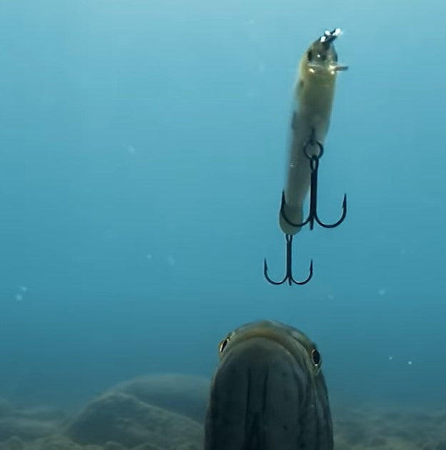 Señuelo Minnow 5 Uds. Kit 140mm