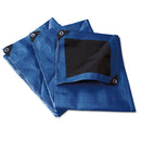 Surtek Lona reforzada azul 2 x 3