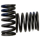 Resorte de valvula (AN007000741) Valve spring