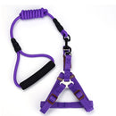 Correa y Pechera para mascotas. Color Purpura.Talla M -Tamaño Correa 10mmx120cm Pechera 42-46cm