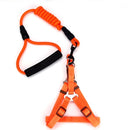 Correa y Pechera para mascotas. Color Naranja. Talla S -Tamaño Correa 8mmx120cm Pechera 36-52cm