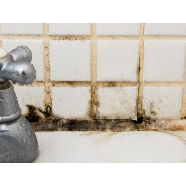 Soudal Silirub S antihongos fungicida Transparente Silicona sellado general de baños 310ml.