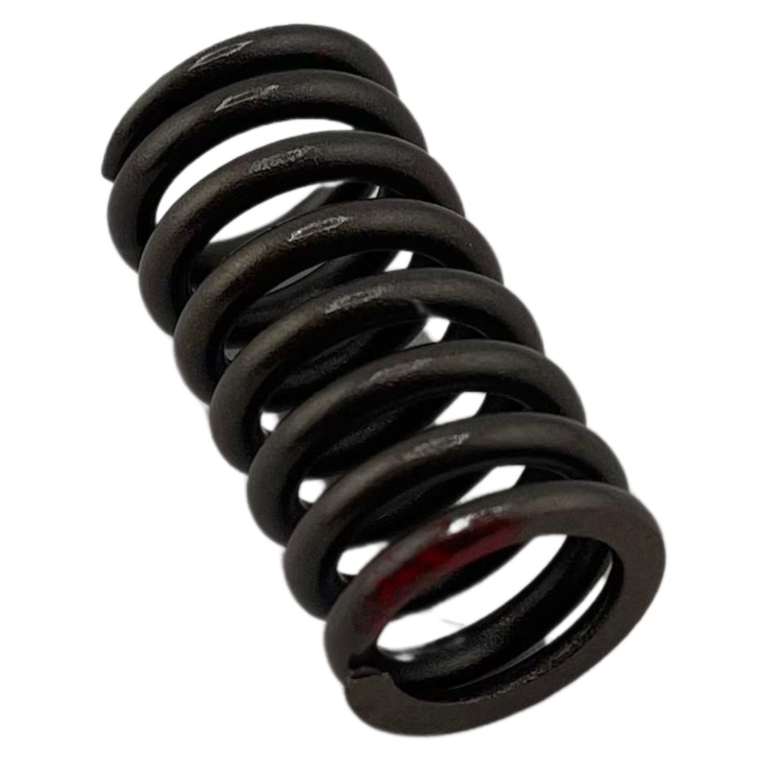 Resorte interno de valvula (RK150)