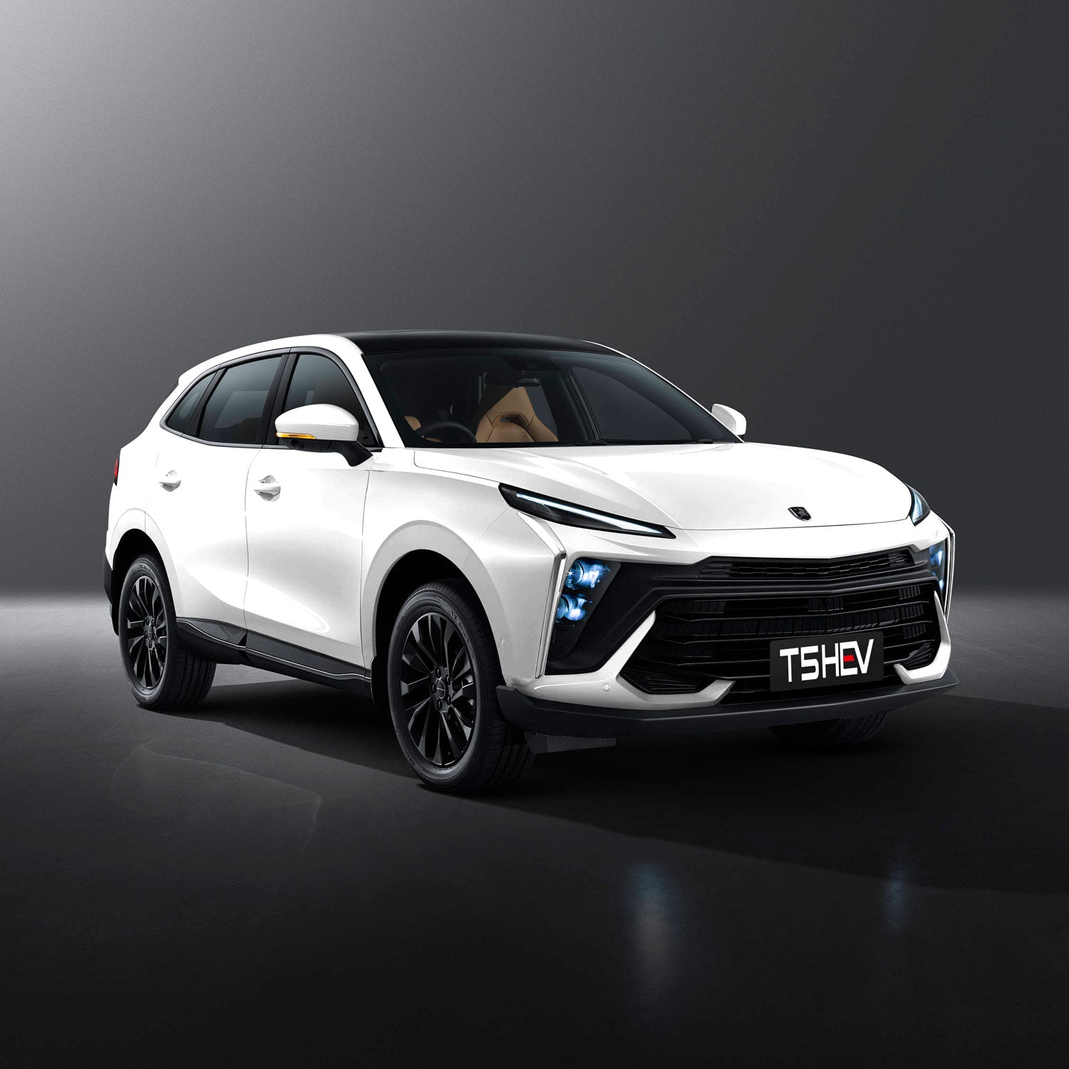 T5 HEV Hibrido Strong Forthing Gasolina Version Exclusive 8 airbags Color BLANCO /Inter Beige