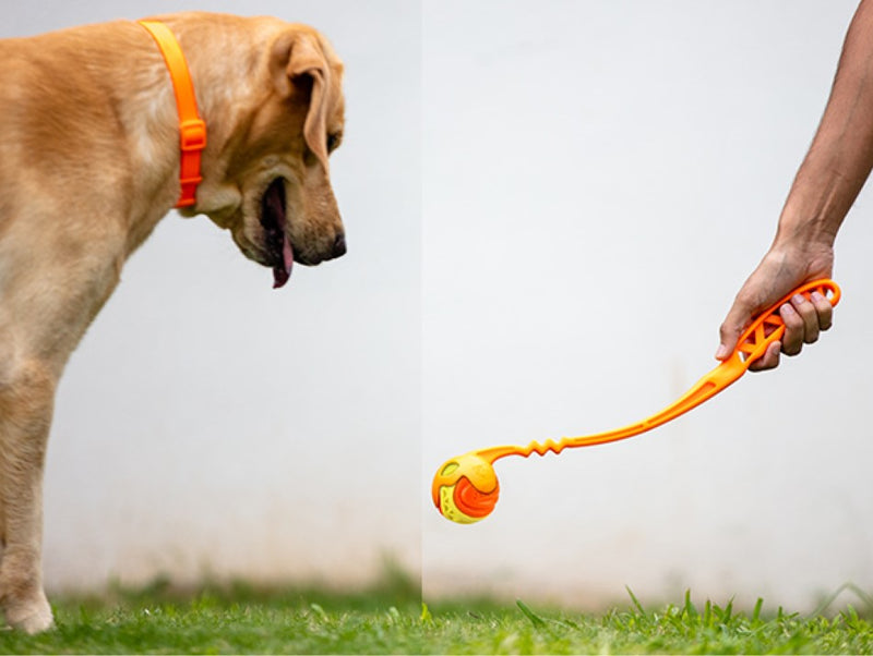 Pelota resistente X-FOAM naranja para mascota