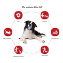 Pelota TPR Roja purpura para mascota Large