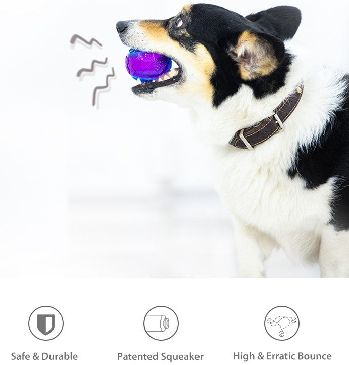 Pelota TPR Azul purpura para mascota M