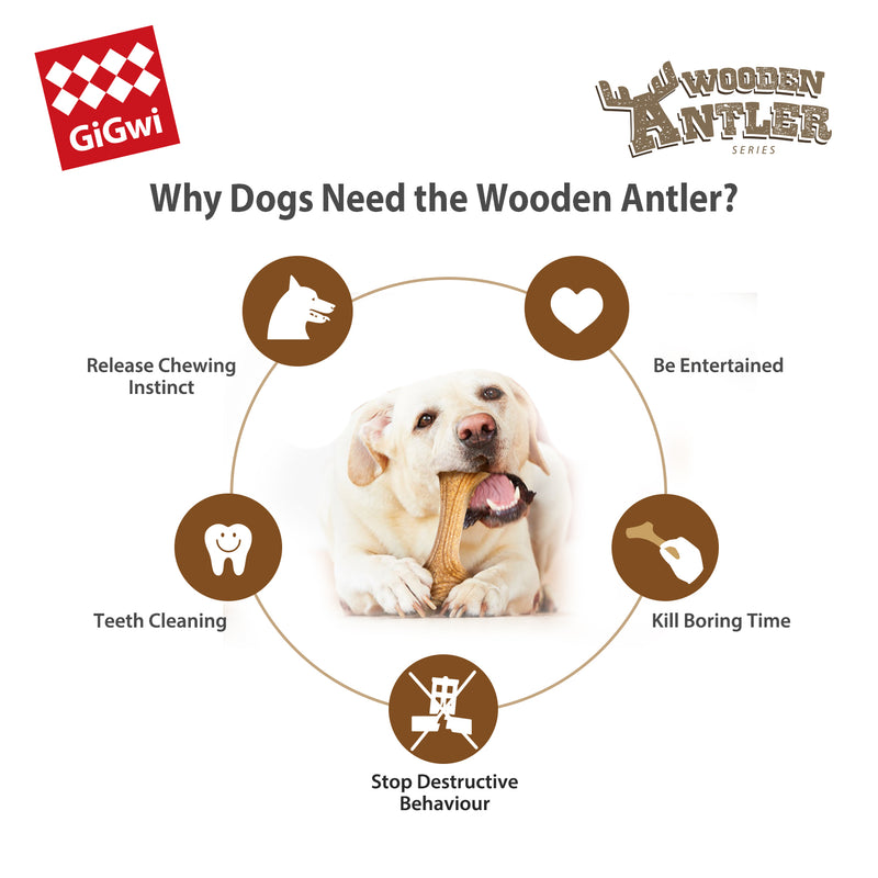 Juguete con madera real masticable mascotas talla L