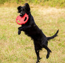 Frisbee Flying Tug 10" rojo para mascota