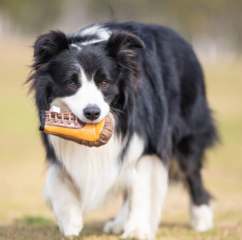 Juguete Guante de boxeo Grande L para mascotas