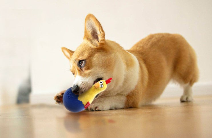 Peluche gallina Gigwi EGG amarilla para mascota