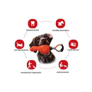 Juguete Dinoball Apatosaurus naranja mascota