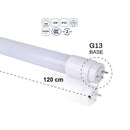 Tubo LED T18 18W 6500K Luz Fría, 1800lm, Base G13 Ahorro Energético y Luminosidad Homogénea, 598x26 mm