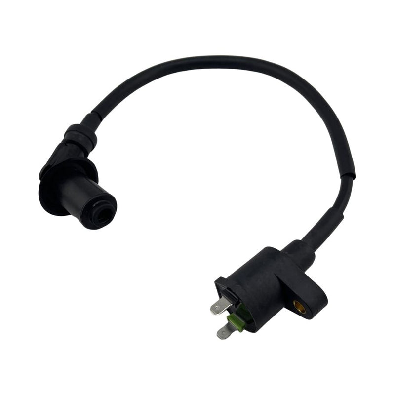 IGNITION COIL ASSY  (BLOG 150)