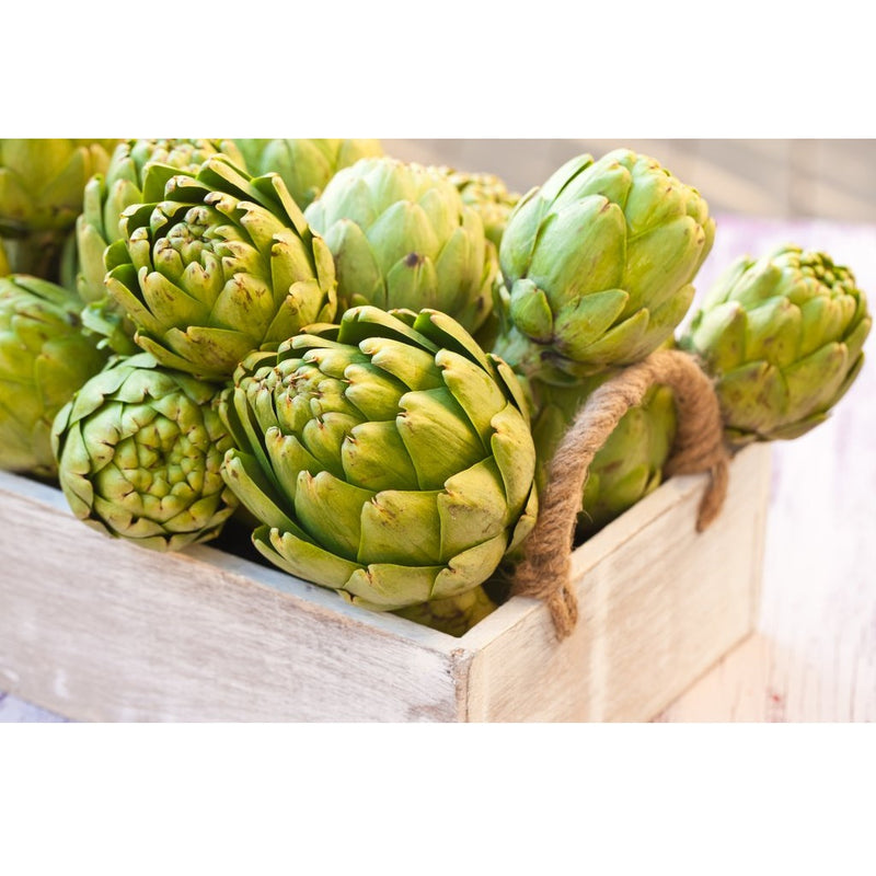 Semillas de alcachofa, Green Globe (100% Heirloom/No Híbrido/No GMO). 10 semillas aproximadamente.