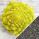 Semillas de brocoli, Romanesco Italia (100% Heirloom/No Híbrido/No GMO). 60 semillas aproximadamente