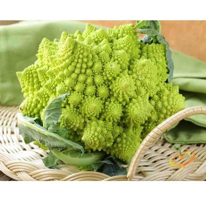 Semillas de brocoli, Romanesco Italia (100% Heirloom/No Híbrido/No GMO). 60 semillas aproximadamente