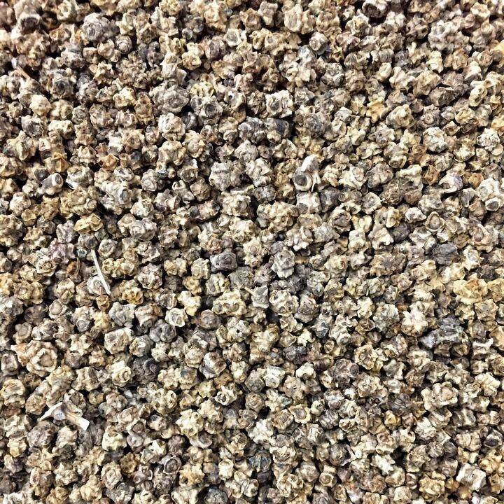 Semillas de acelga rosada Suiza (100% Heirloom/No Híbrido/No GMO). 25 semillas aproximadamente