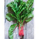 Semillas de acelga rosada Suiza (100% Heirloom/No Híbrido/No GMO). 25 semillas aproximadamente