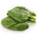 Semillas de espinaca, Matador Viking (100% Heirloom/No Híbrido/No GMO). 70 semillas aproximadamente