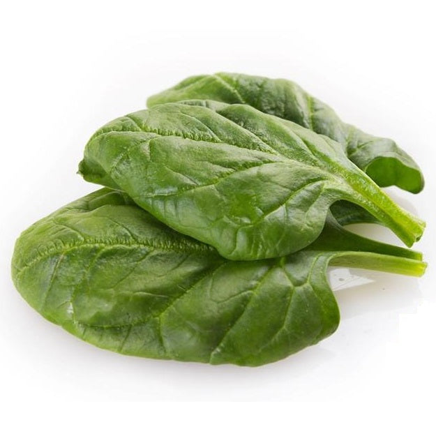 Semillas de espinaca, Matador Viking (100% Heirloom/No Híbrido/No GMO). 70 semillas aproximadamente