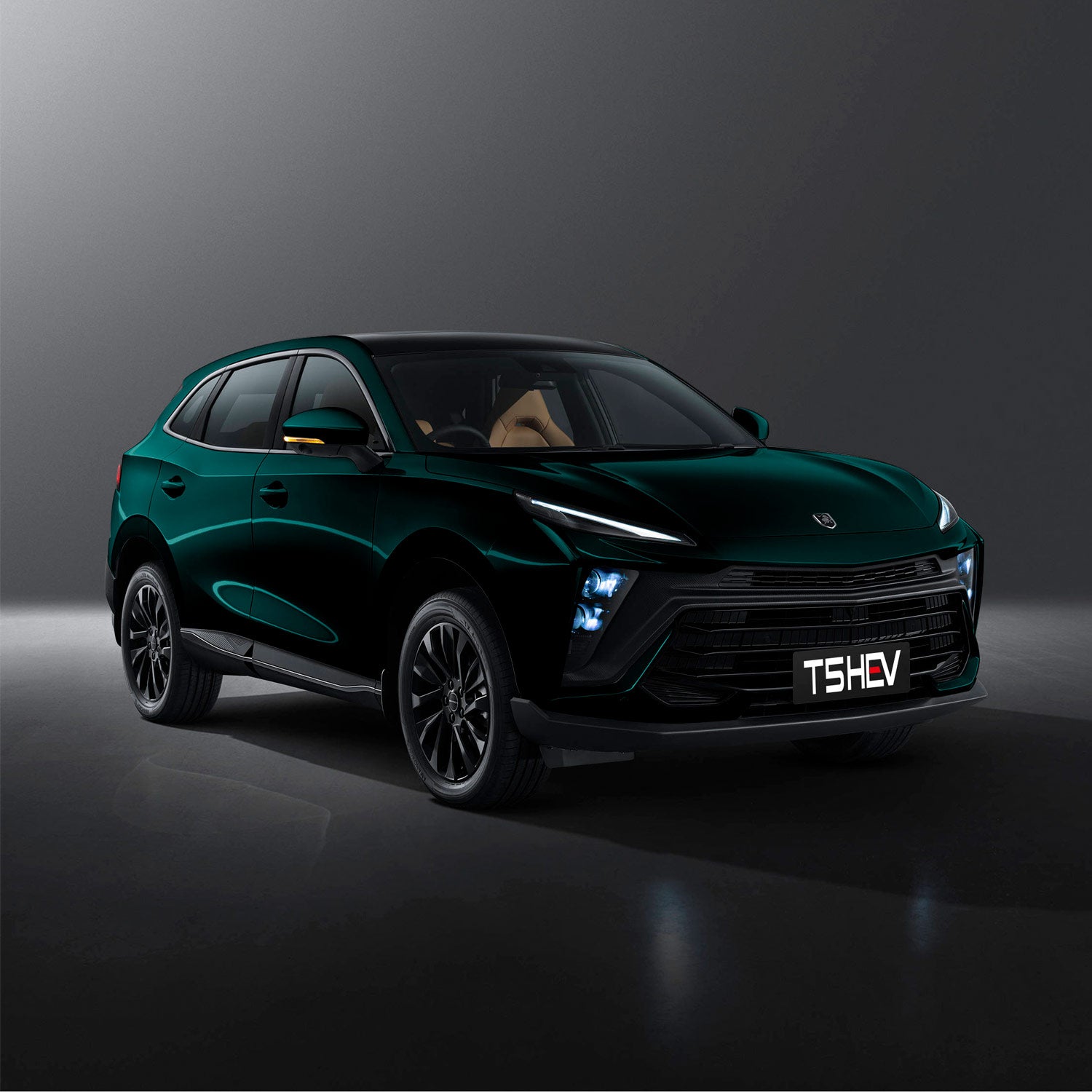 T5 HEV Hibrido Strong 349 Volt Forthing Gasolina Version Exclusive 8 airbags Color Cyan/Inter Negro