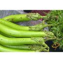 Semillas de berenjena, Louisiana (100% Heirloom/No Híbrido/No GMO). 10 semillas aproximadamente.