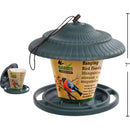 Comedero para pájaros colgante Garden E., 7''xx6.5 "
