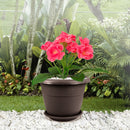 Macetera redonda con plato, de 30 cm, color wengué