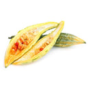 Semillas de melon platano (100% Heirloom/No Híbrido/No GMO). 10 semillas aproximadamente.