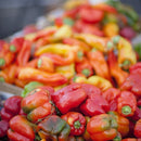 Semillas de aji dulce, California Wonder (100% Heirloom/No Híbrido/No GMO). 15 semillas aprox.