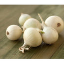 Semillas de cebolla pequeña, Barletta (100% Heirloom/No Híbrido/No GMO). 100 semillas aprox.