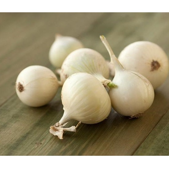 Semillas de cebolla pequeña, Barletta (100% Heirloom/No Híbrido/No GMO). 100 semillas aprox.