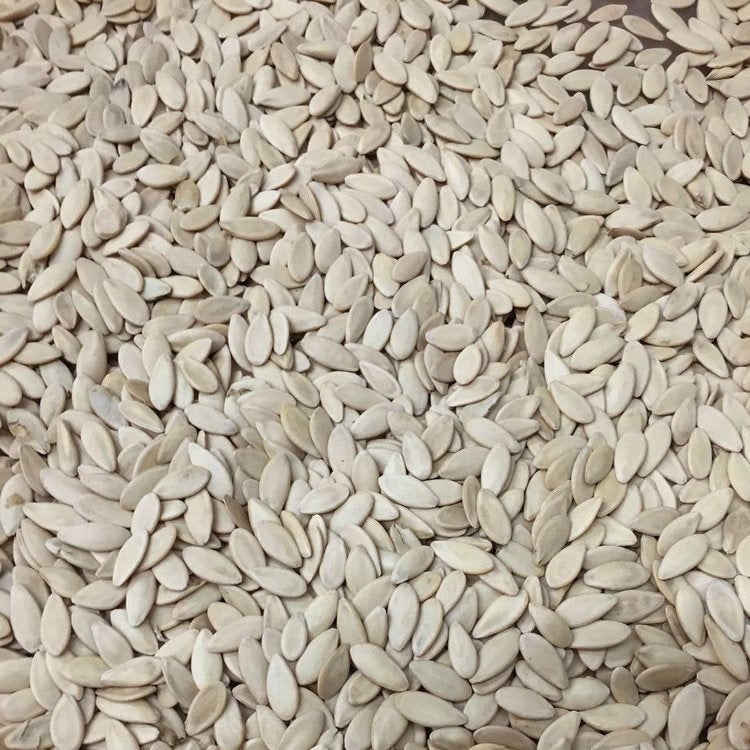 Semillas de pepino, maravilla blanca (100% Heirloom/No Híbrido/No GMO). 10 semillas aproximadamente.