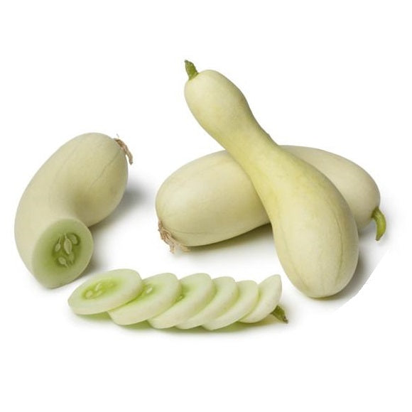 Semillas de pepino, maravilla blanca (100% Heirloom/No Híbrido/No GMO). 10 semillas aproximadamente.