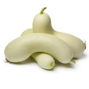 Semillas de pepino, maravilla blanca (100% Heirloom/No Híbrido/No GMO). 10 semillas aproximadamente.