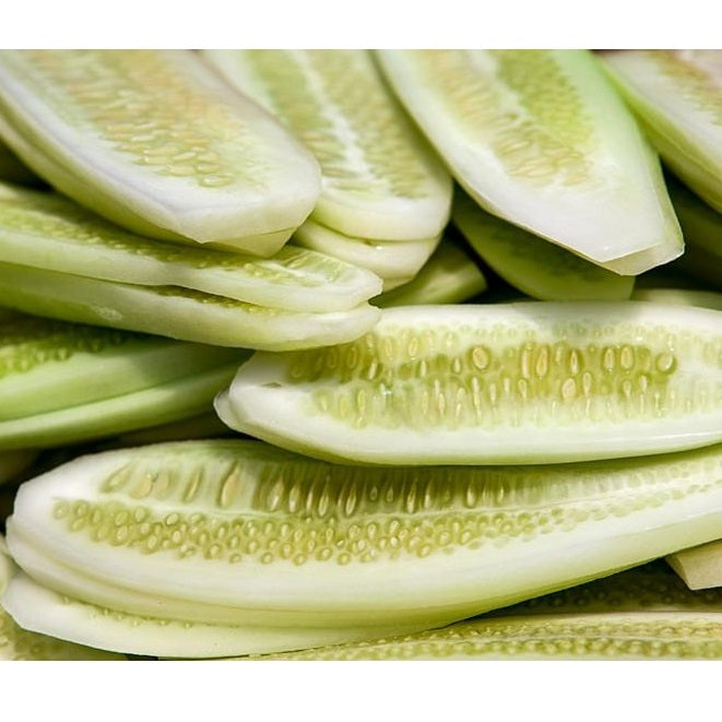 Semillas de pepino, maravilla blanca (100% Heirloom/No Híbrido/No GMO). 10 semillas aproximadamente.